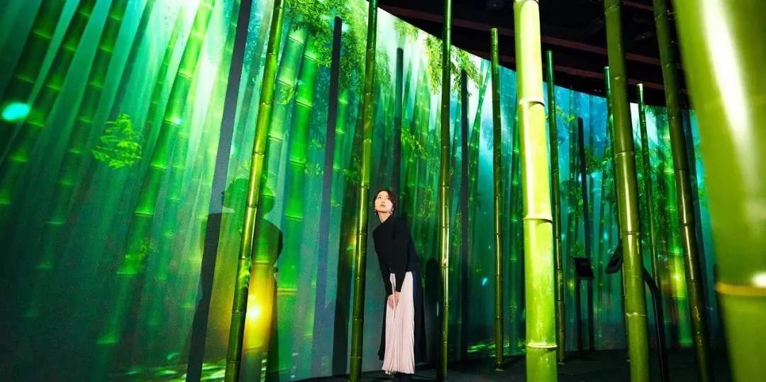 沉浸式的櫻花展覽策劃驚艷了廣大游客的目光，光影互動太厲害了！