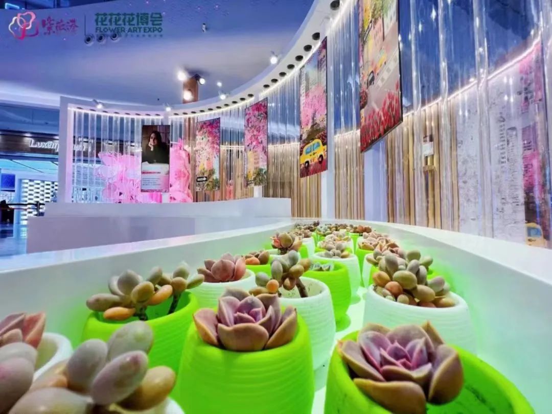 打卡花花·花博會(huì)2.0活動(dòng)策劃，朋友圈分分鐘C位出道